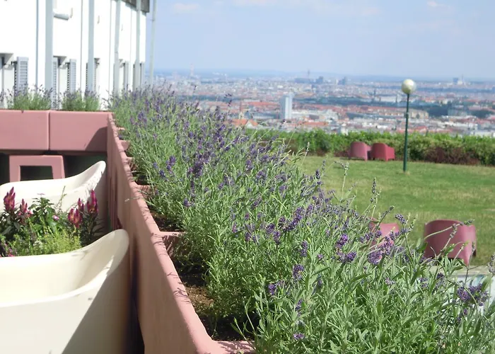 Palace Hostel Vienne